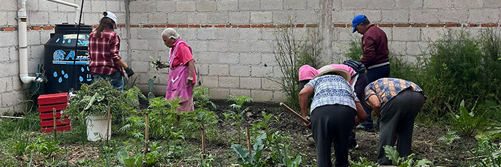 Huerto comunitario