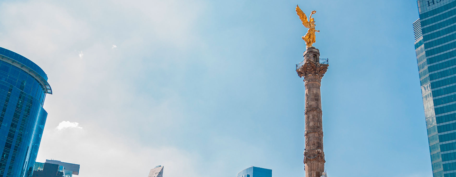angel cdmx