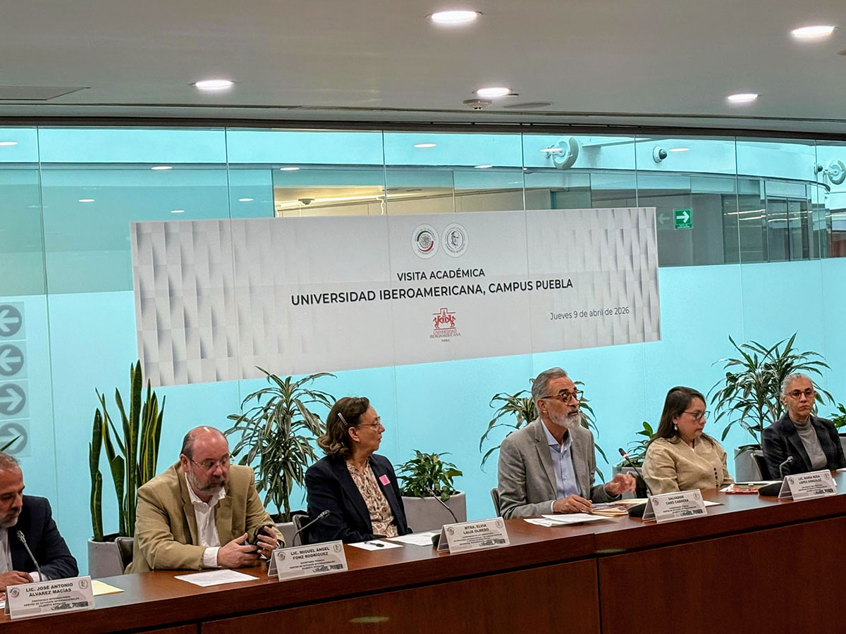 Visita IMR