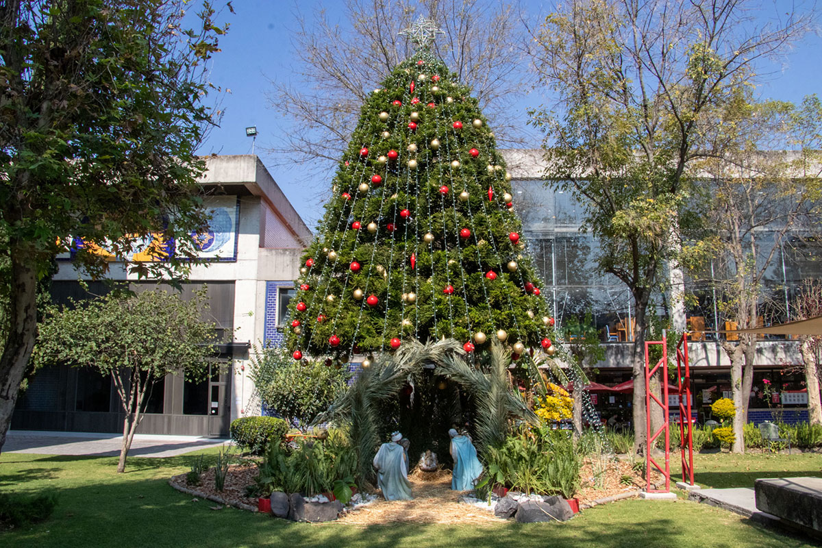 Navidad